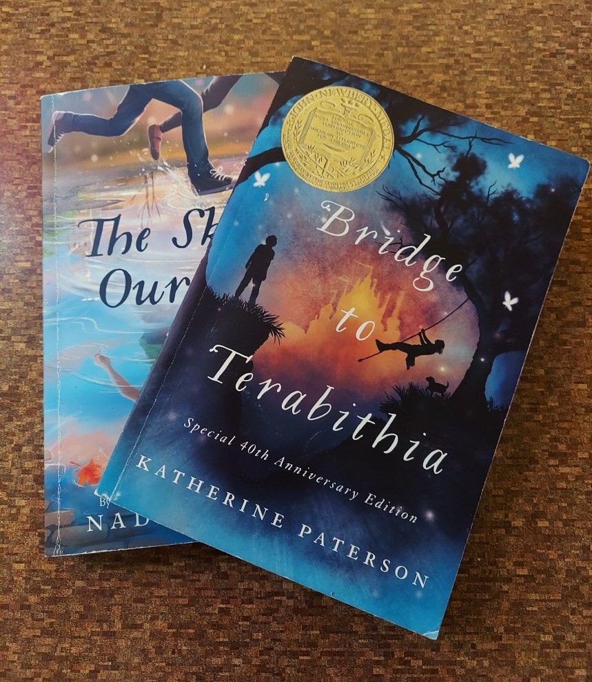 Duo Of Two Middle School Level Books