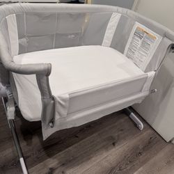 Baby Delight Bassinet