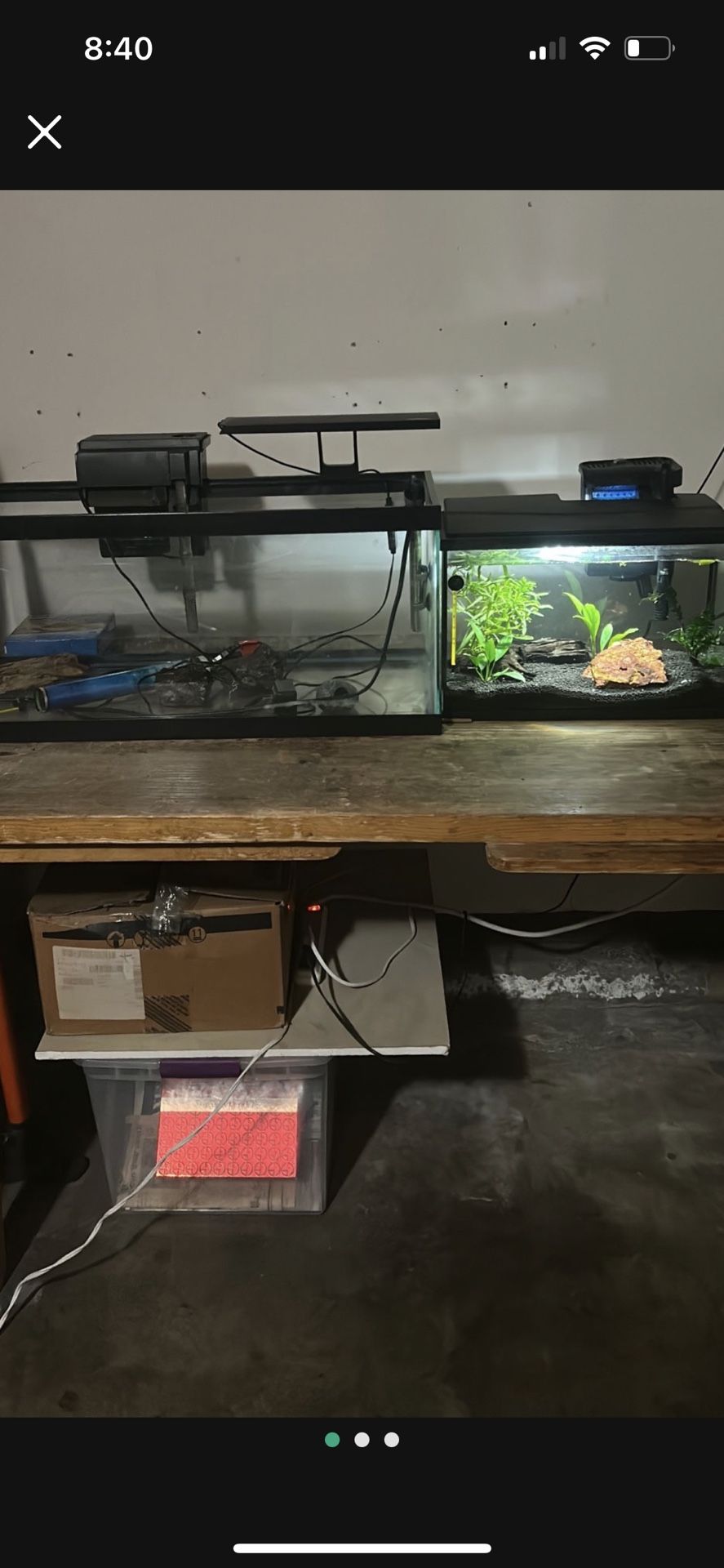 20 Gallon Long Fish Tank And 5 Gallon Fish Tank