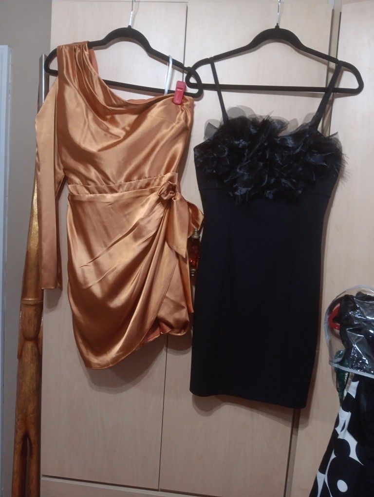 2 Short Fancy Dresses Sz M & 6 $72 OBO