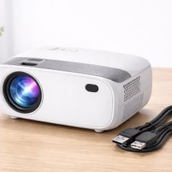 Portable Mini Projector Shipping Only