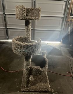 Kitty Condo
