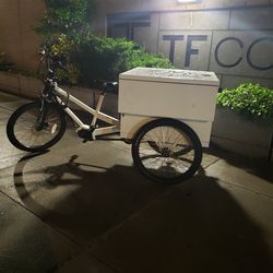 Electric Assisted Cargo Bike