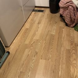 Pergo Laminated Flooring.       Free