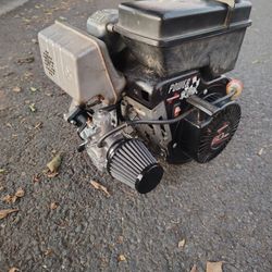 TECUMSEH PWER SPORT 6.0 ENGINE CASH ONLY. NO TRADES 