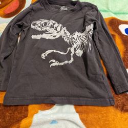 Boy Shirt Size 3t