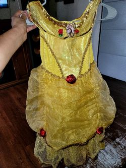 Disney Princess Dresses.      20.00 Each.