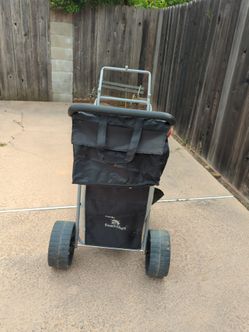 Beach wagon