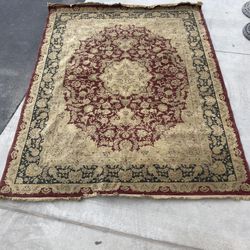 $75 - Area Rug