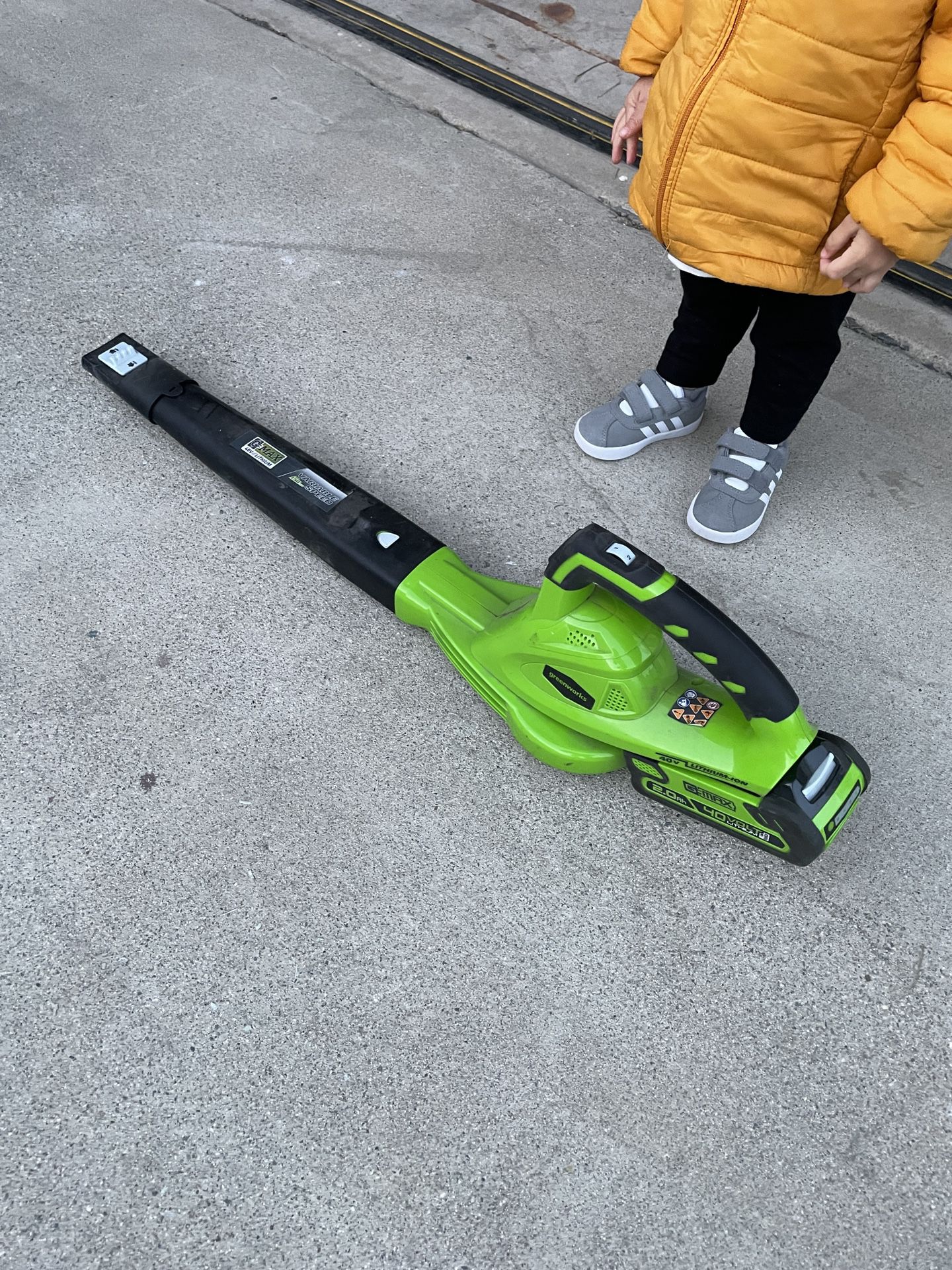 Greenworks Leaf Blower with battery and charger