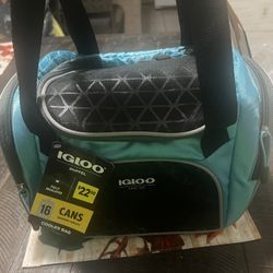 Igloo 16 can lunch bag 