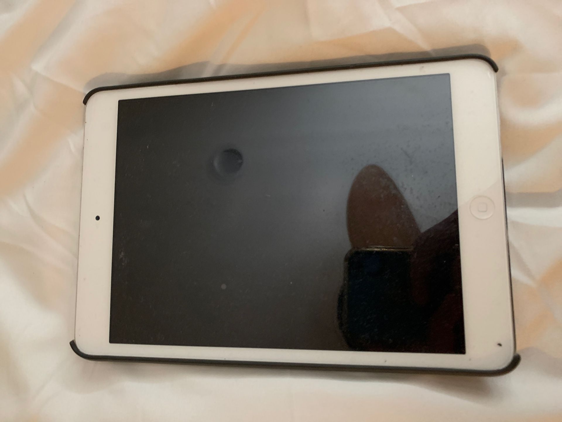 iPad mini 16gb
