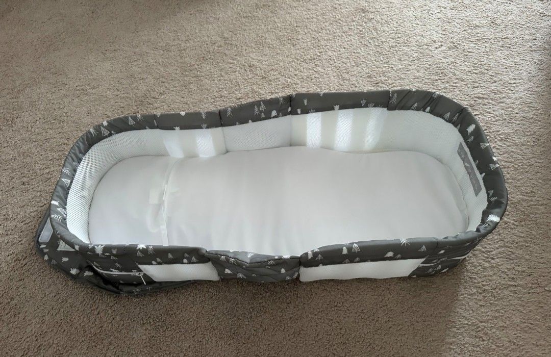 Baby Delight Portable Infant Bassinet and Lounger