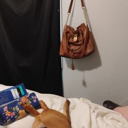 Mk And Coach Purse