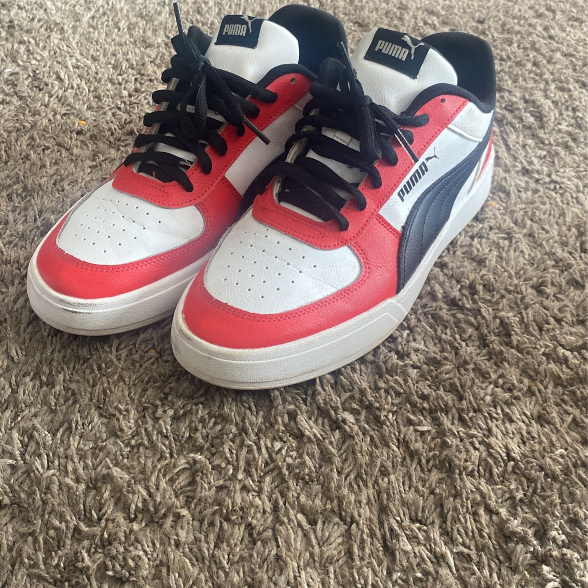 Puma