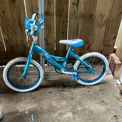Frozen Bike 