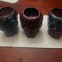 Three Wise Skulls 