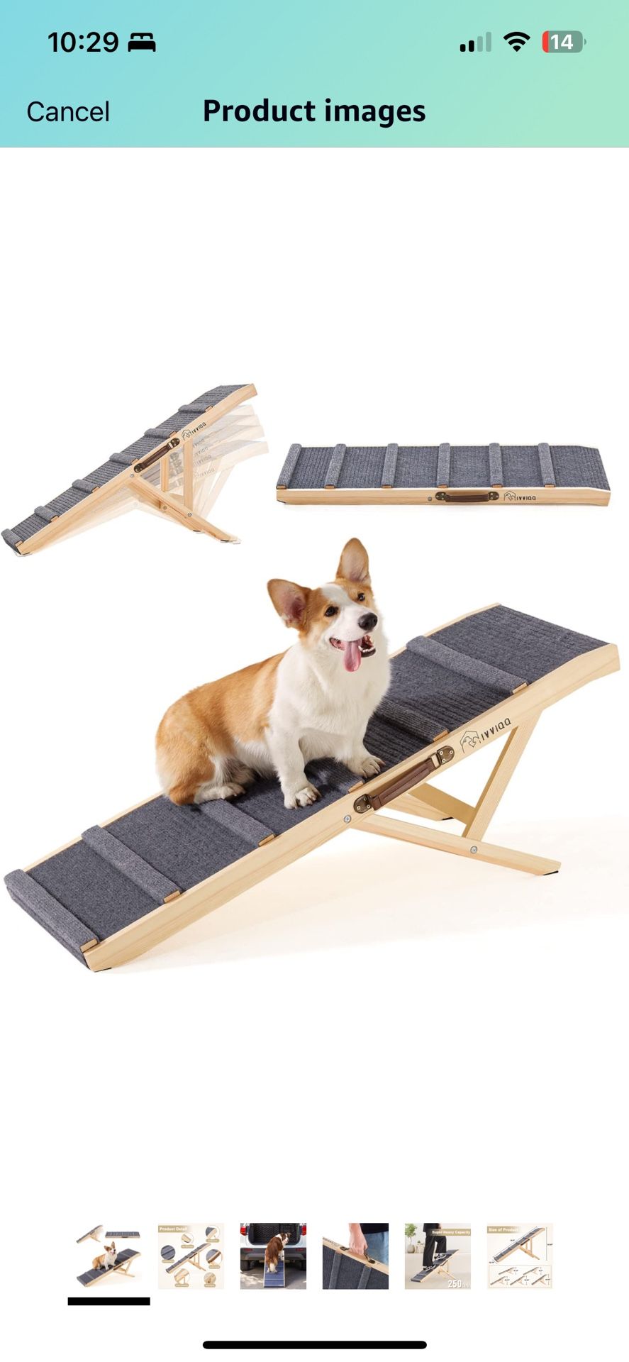 Dog Ramp