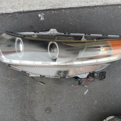 2009-2014 Acura Tsx Headlight Xenon With Light Bulbs And Headlights Bracket OEM. 