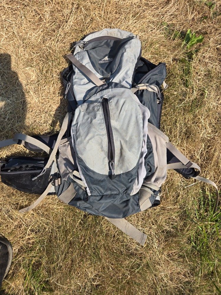 Men's Gregory Backpack