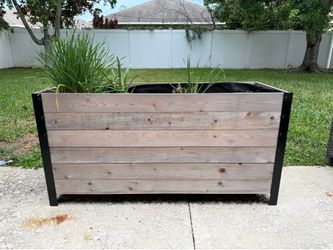 Plant Box