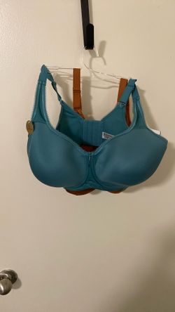 Wacoal Bra 36G