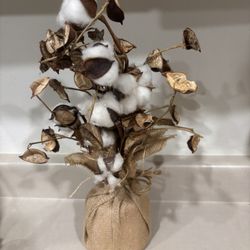 Cotton Ball Arrangement