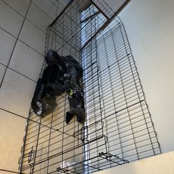 Jaula Para Mascota 