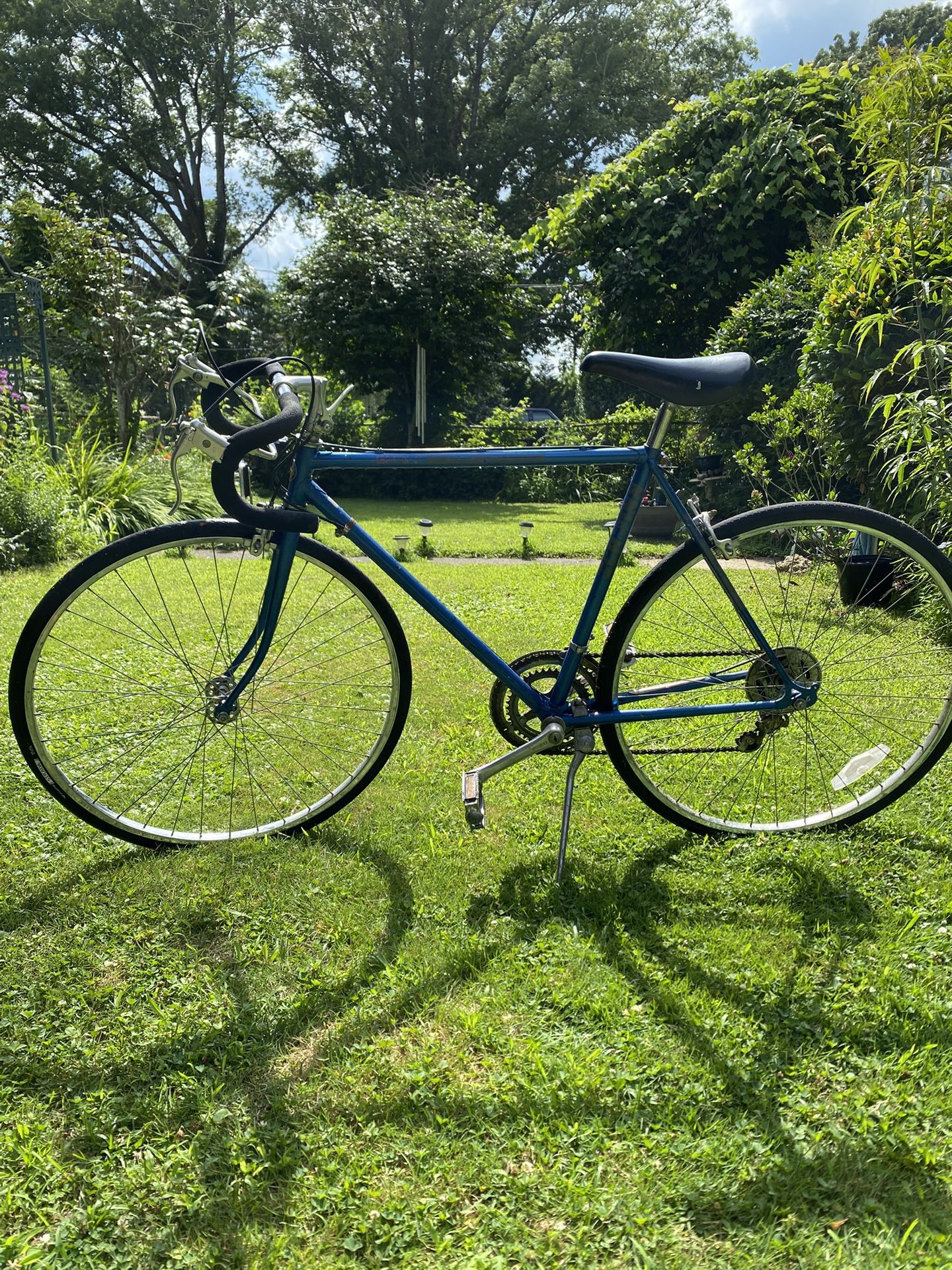 Vintage Schwinn Sprint