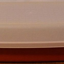 Tupperware Meat Keeper
