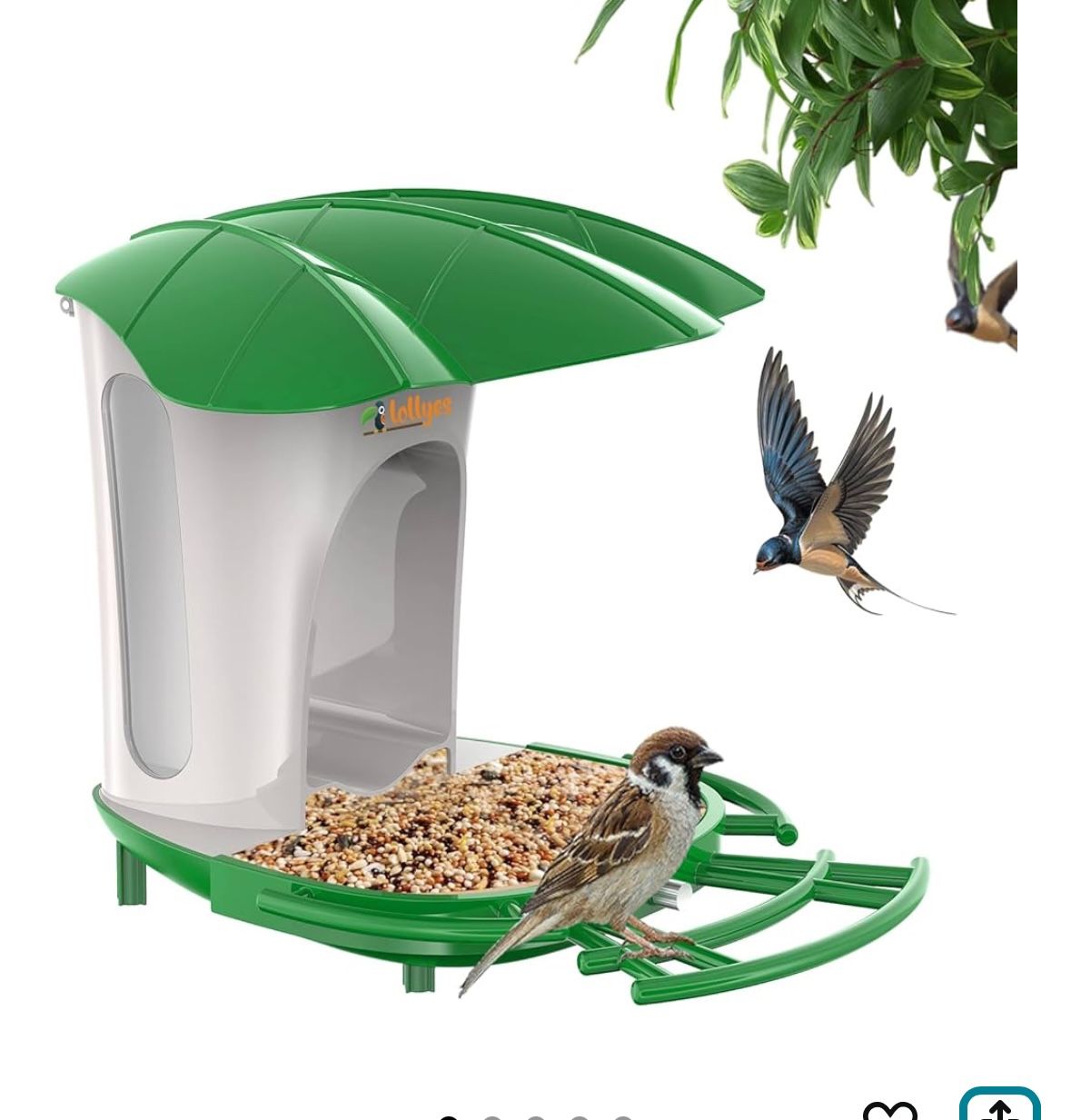 Birds Feeder