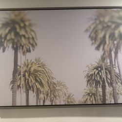 Large Picture of Palms