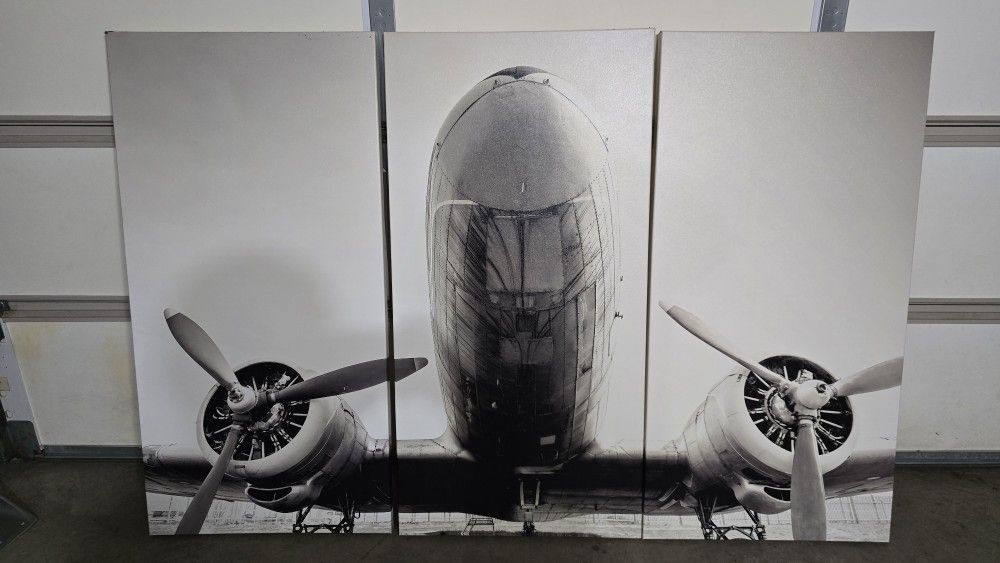 Airplane Wall Art
