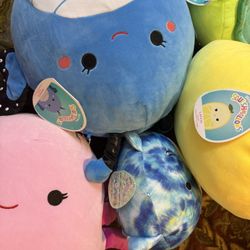 Brand New Squishmallows  With Tags 