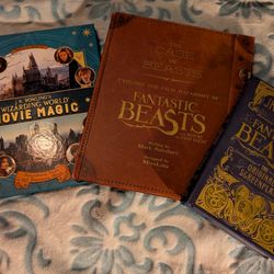 Wizarding World Of Harry Potter Book Trio 