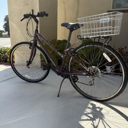 Raleigh Women’s Bike