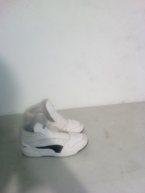 Pumas