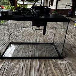 Fish Tank