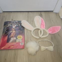 Halloween Bunny Accessories