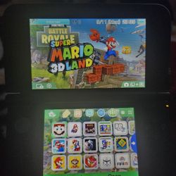 3DS/2DS/DSI/WII/WIIU Modding Service