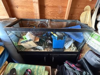 Fish, Tank, Amphibian Box.