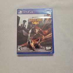 PS4 Second Son