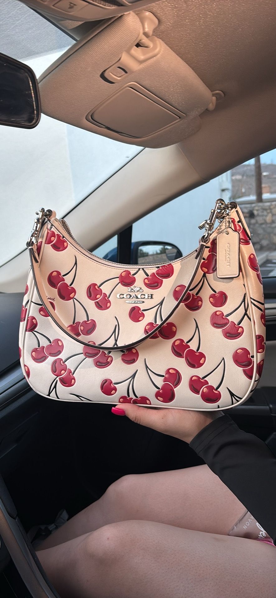 Cherry Coach Teri Hobo