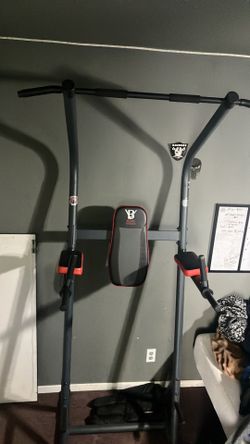 Pull Ups, Dips, Abs Station