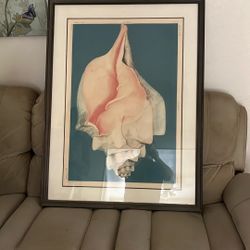 Artist Rothe - print  (Mollusk) ( certificate of authenticity included )