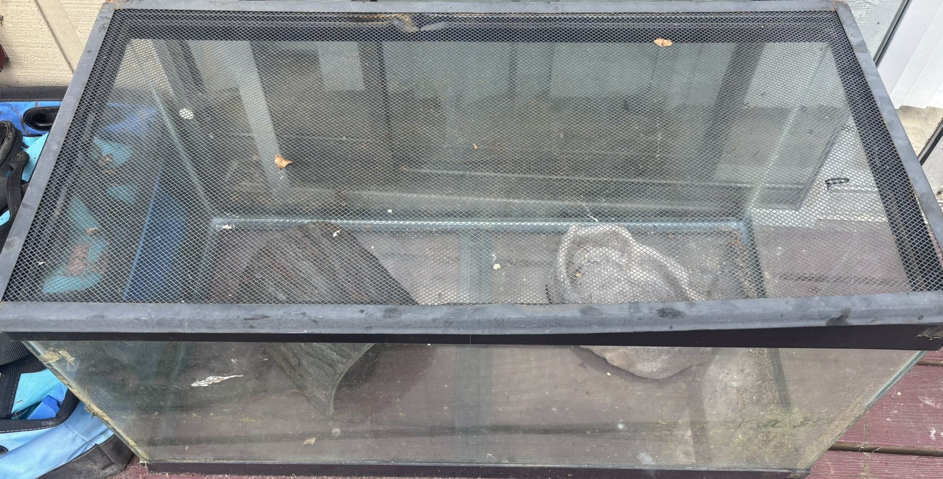 90 Gallon reptile tank With Screen Top