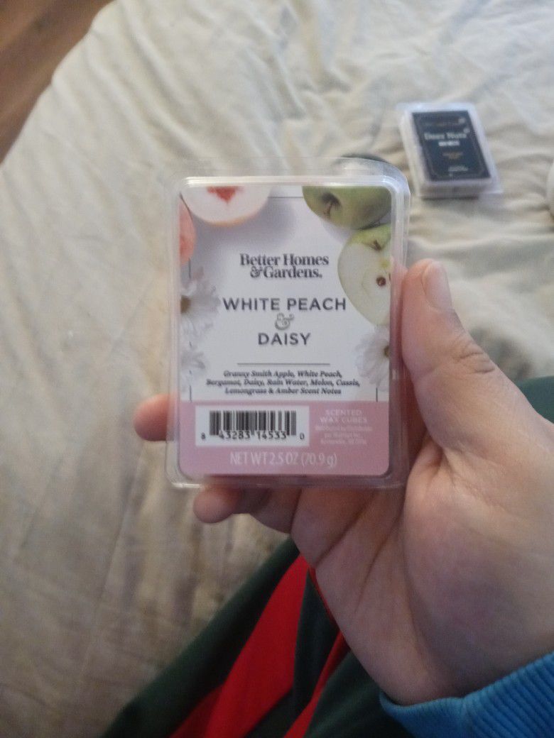 White Peach Daisy For Sell