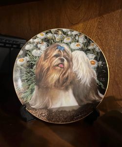 Decorative plates with protective case and coa