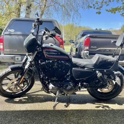 2020 Harley Sportster 1200 Iron