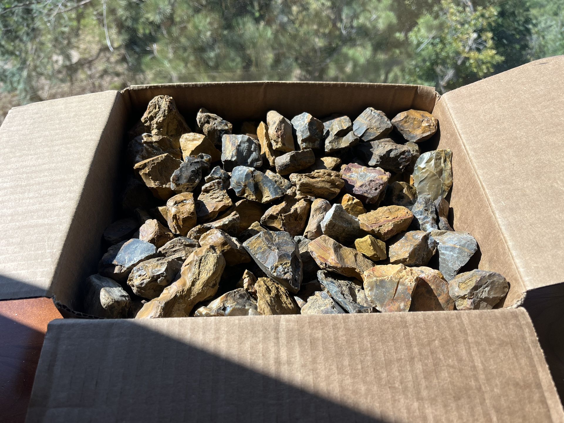 Petrified Wood - 14 Lb Box